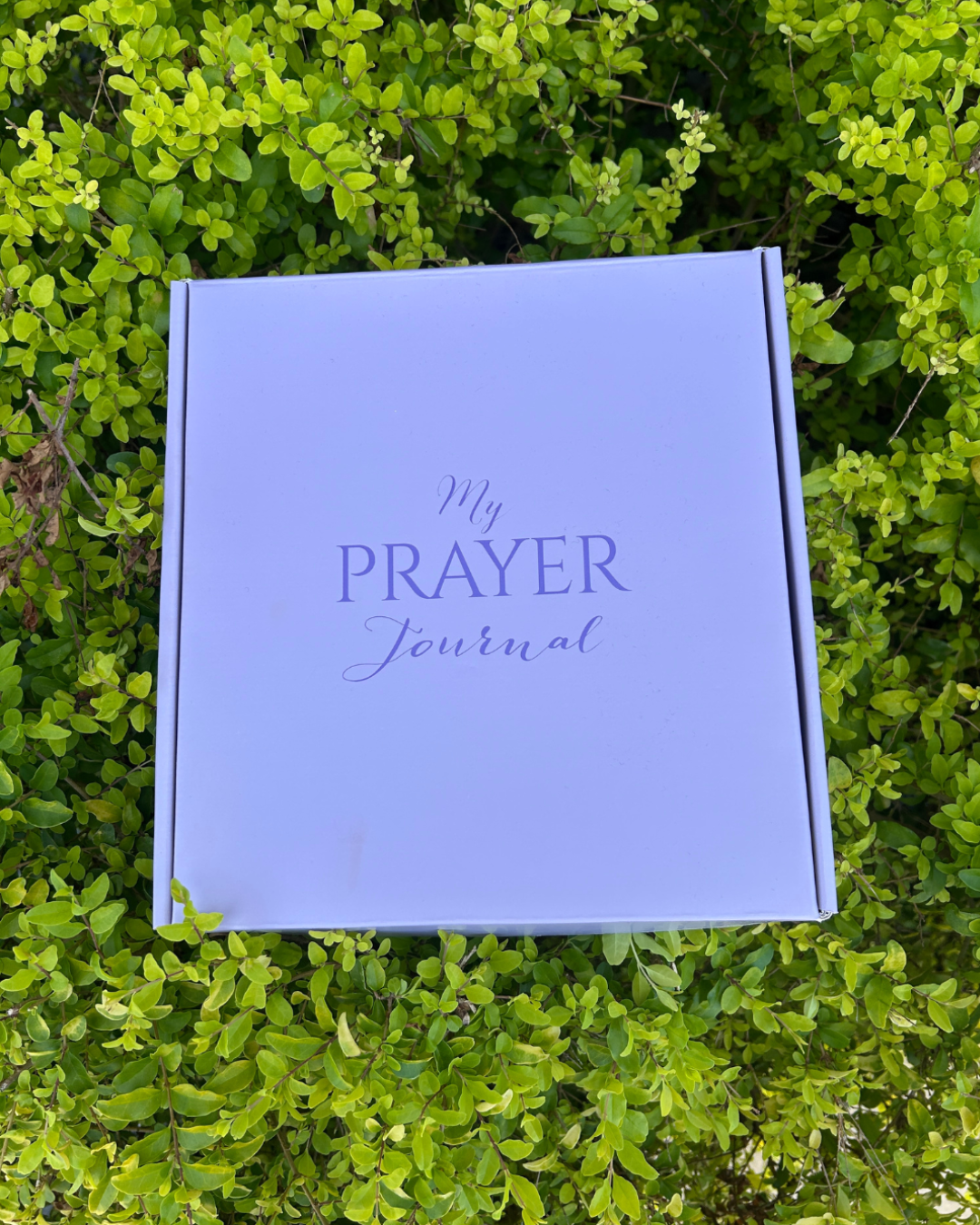 Pray On It, Pray Over It, Pray Through It Prayer - Mini Prayer Journal